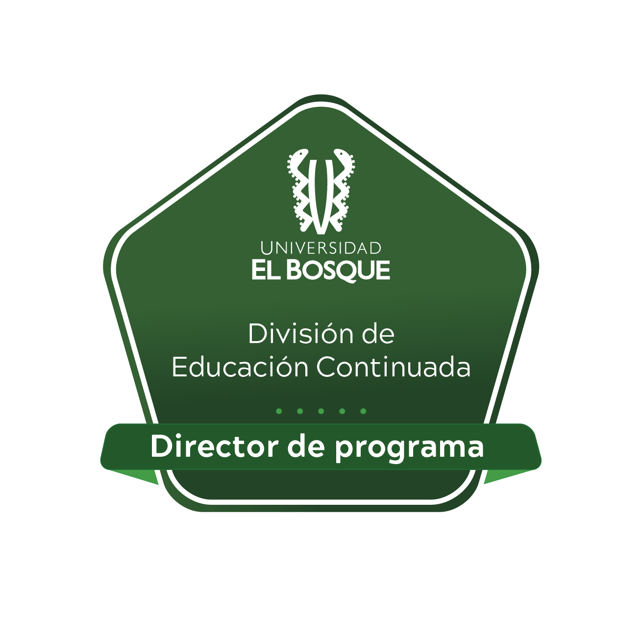 Director Programa de Educación Continuada (Universidad El Bosque)