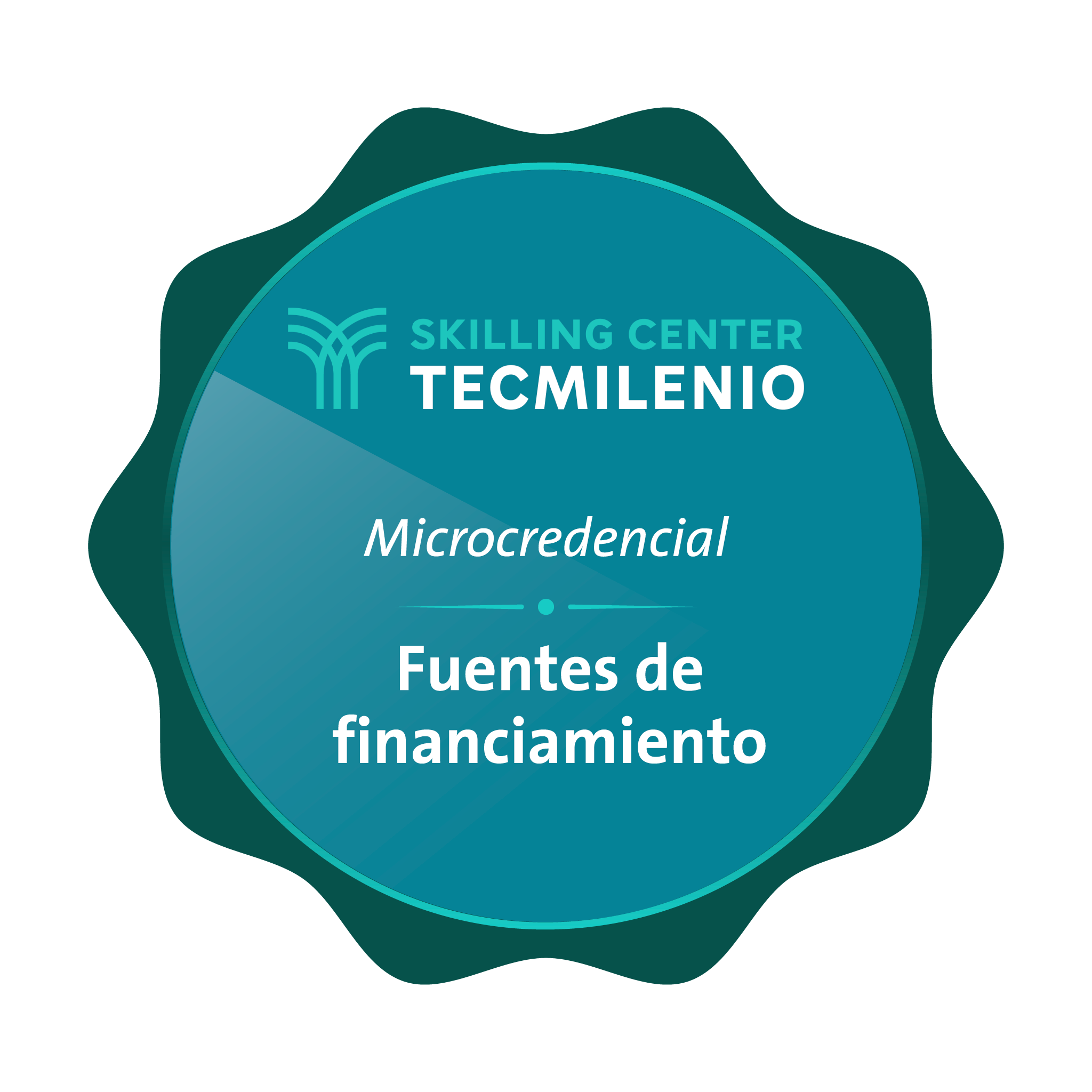 Microcredencial Fuentes de financiamiento