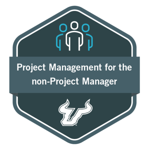 Project Management for the non-Project Manager | Stack-A-Bull - Credly