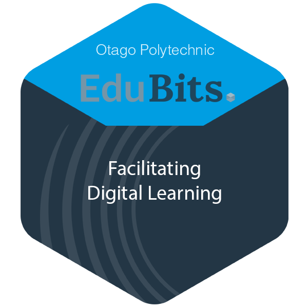 Facilitating Digital Learning