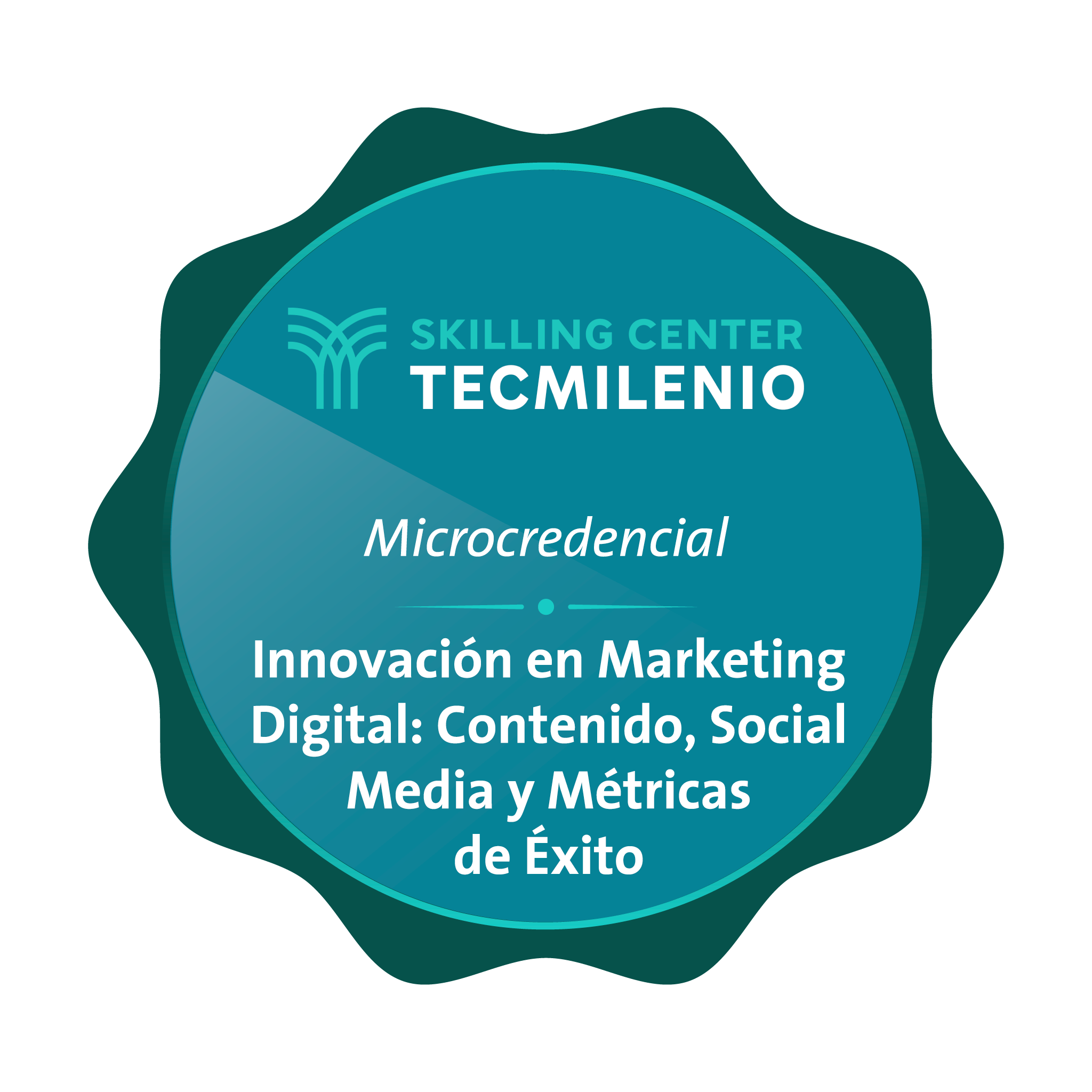 Microcredencial Innovación en Marketing Digital: Contenido, Social Media y Métricas de Éxito