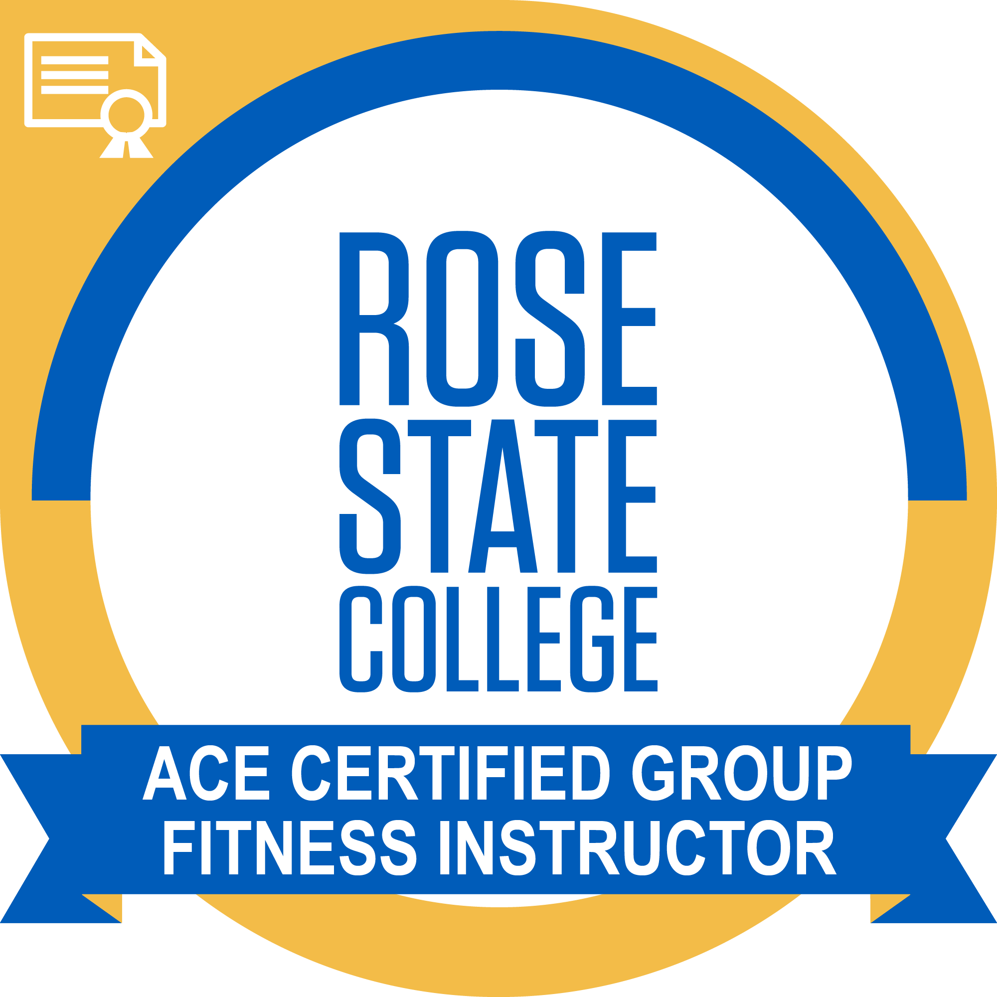 ACE Certified Group Fitness Instructor