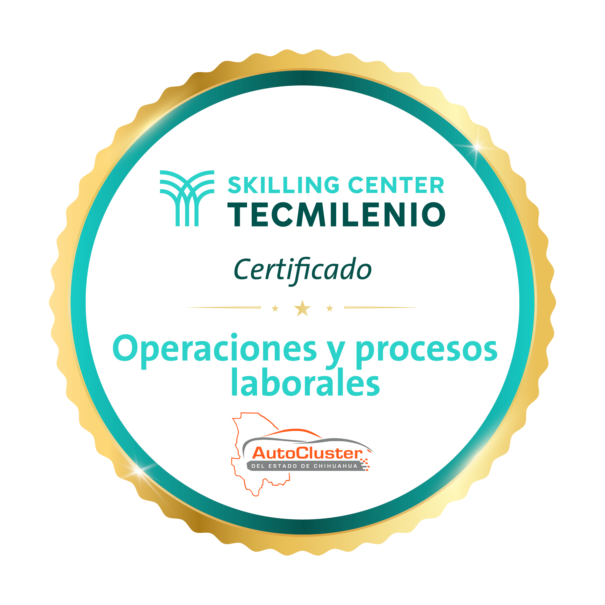 -Certificado Operaciones y procesos laborales