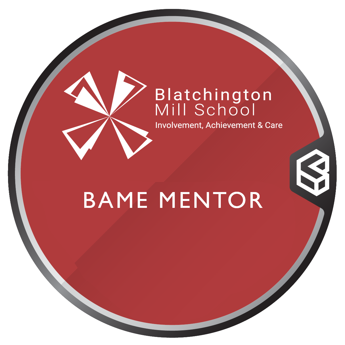 Blatchington Mill School BAME Mentoring Programme - Mentor