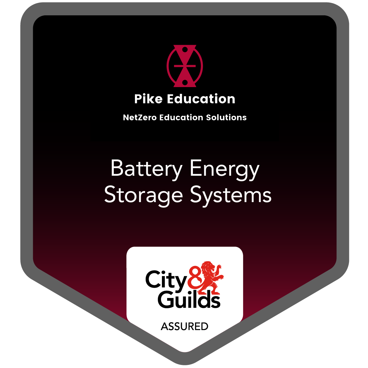 Introduction To Batteries and Battery Energy Storage Systems for