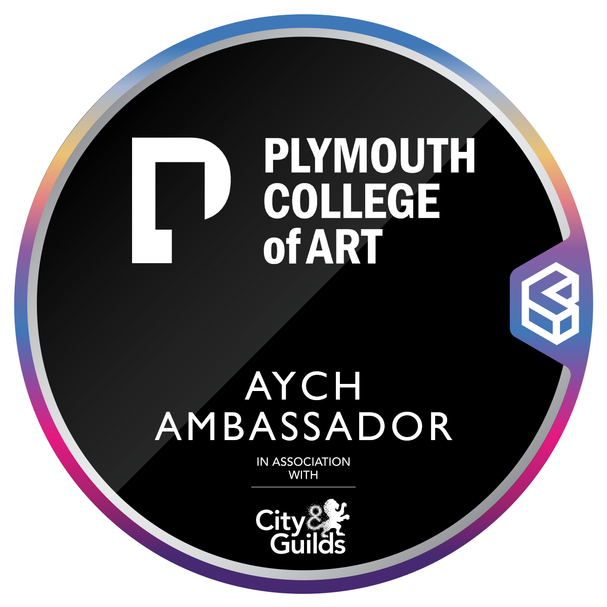 AYCH Ambassador - Network of creatives and social entrepreneurs