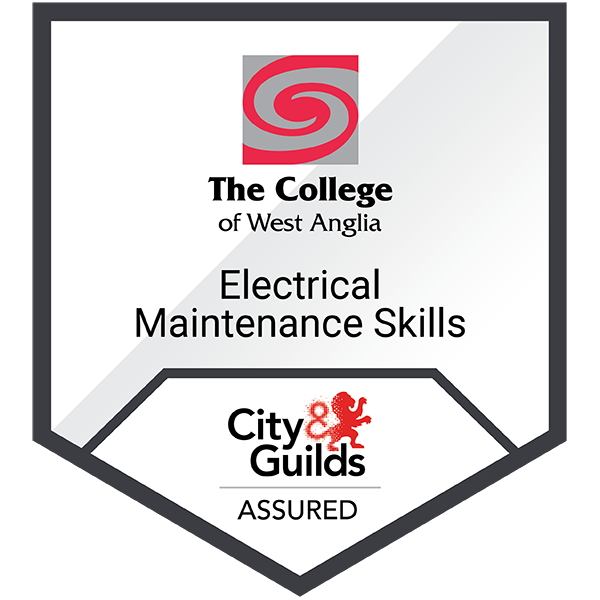 Industrial Electrical Maintenance Skills