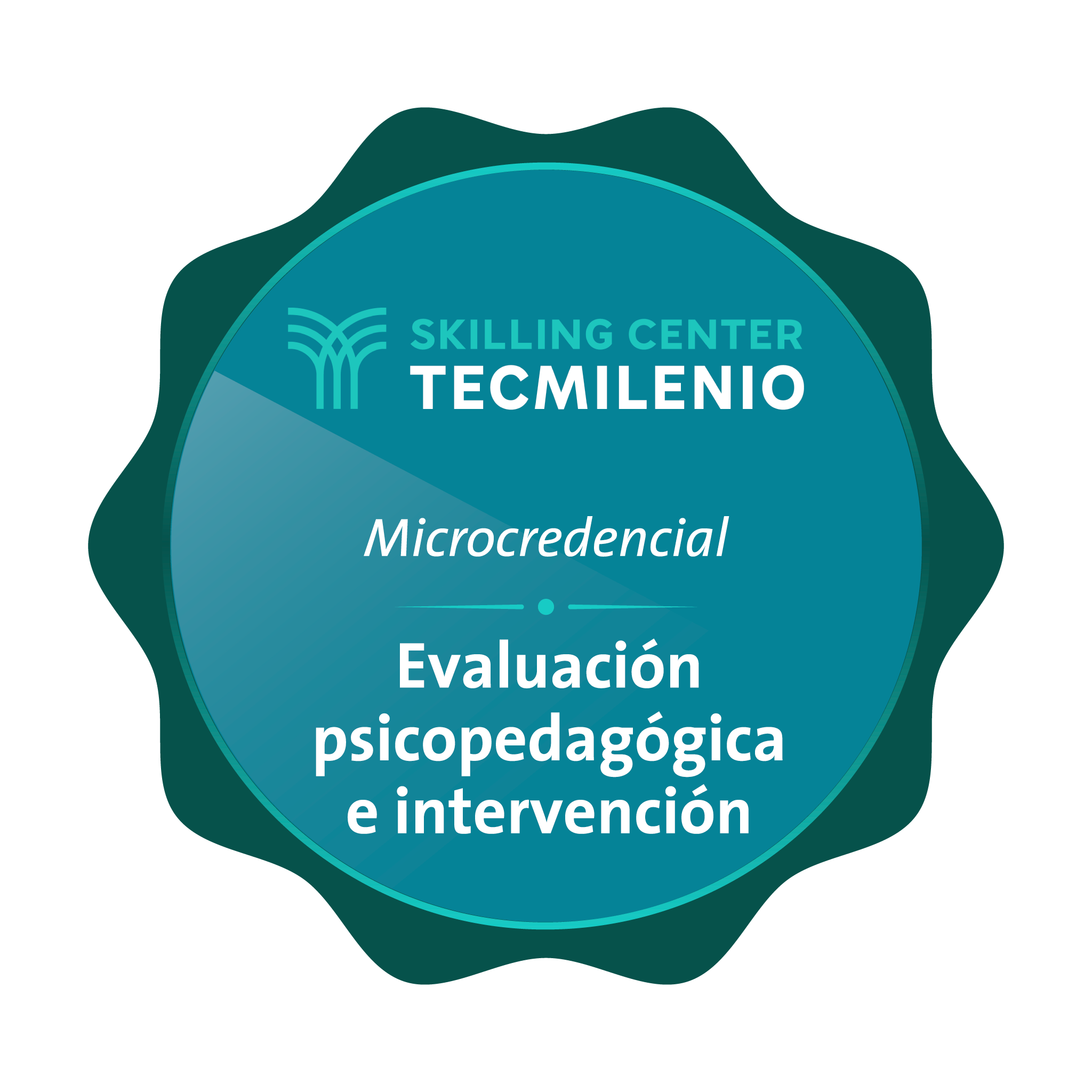 Microcredencial Evaluación psicopedagógica e intervención