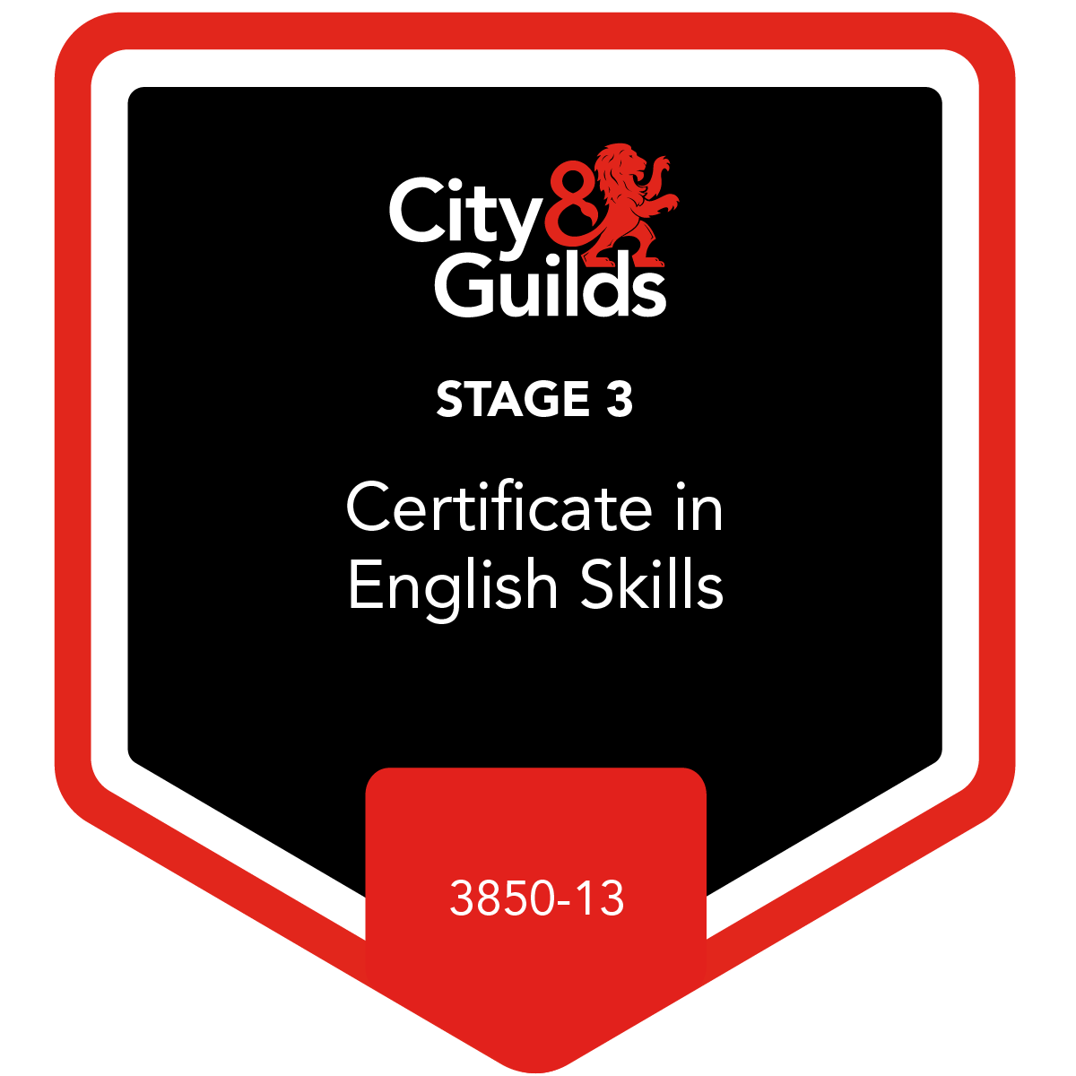 Stage 3 Certificate in English Skills - 3850-13