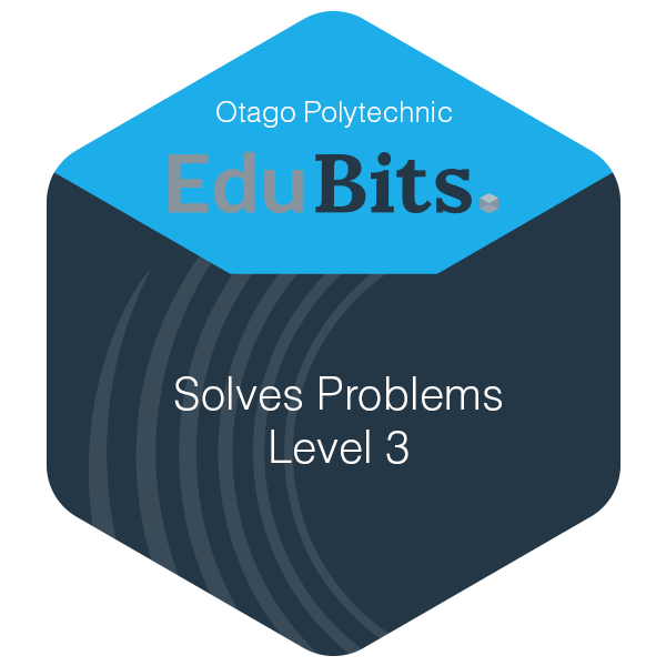 Solves Problems (Level 3)