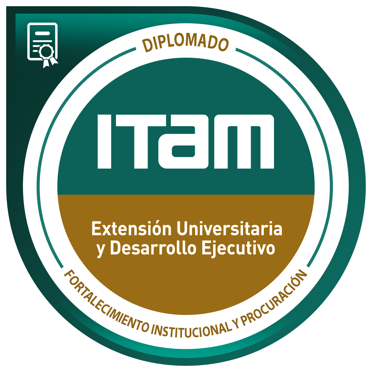 Diplomado en Fortalecimiento Institucional y Procuración de Fondos