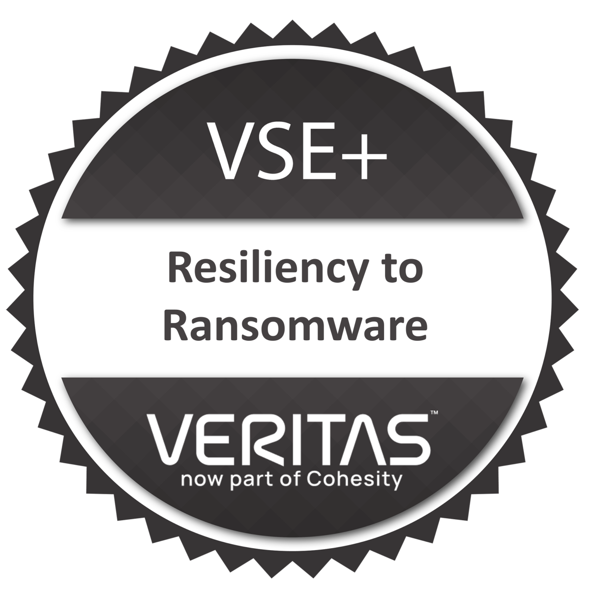 VSE+ Veritas Resiliency to Ransomware