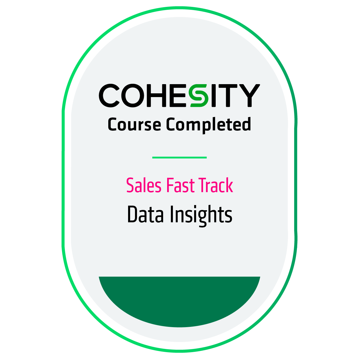 Data Insights - Fast Track