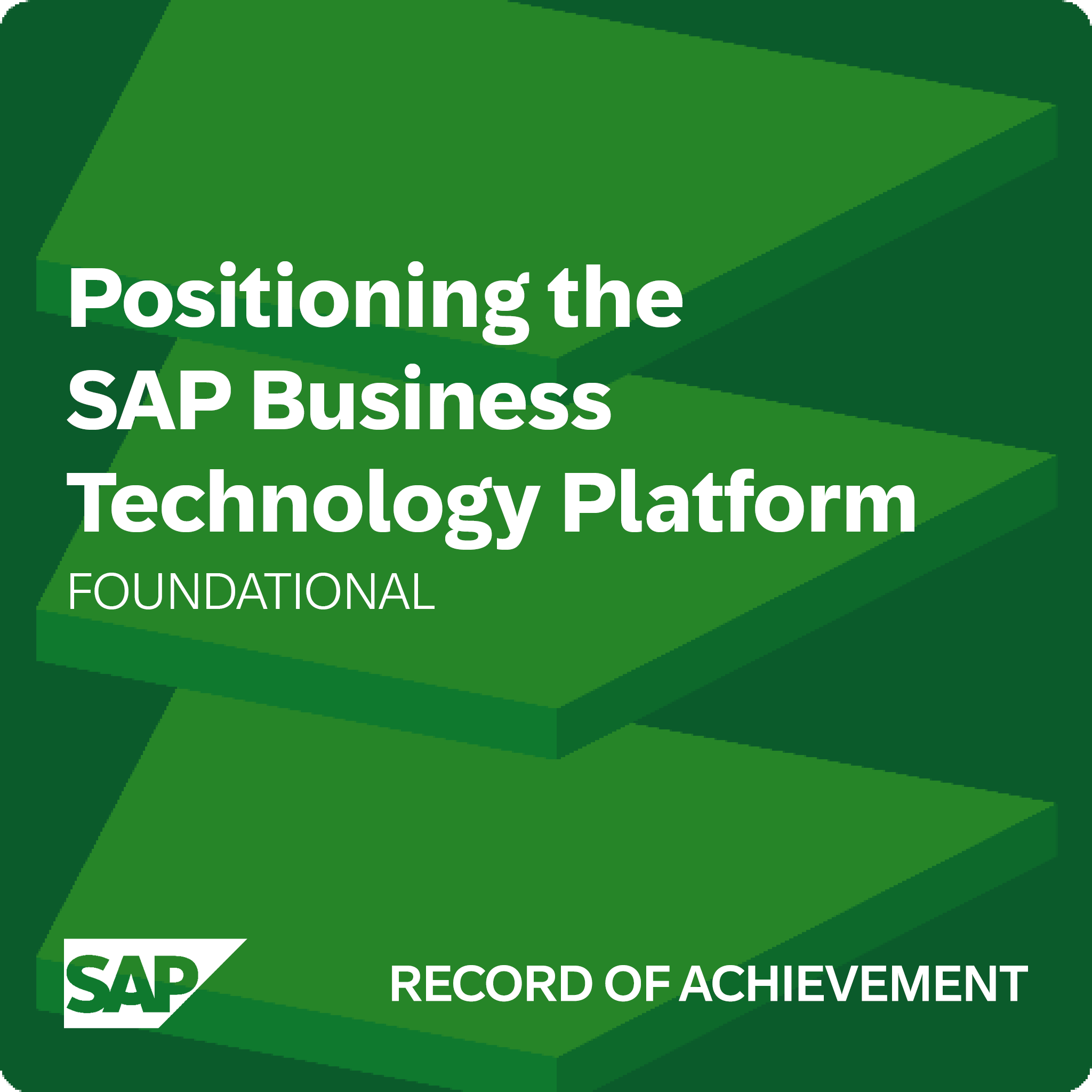 Positioning the SAP Business Technology Platform - Record of Achievement