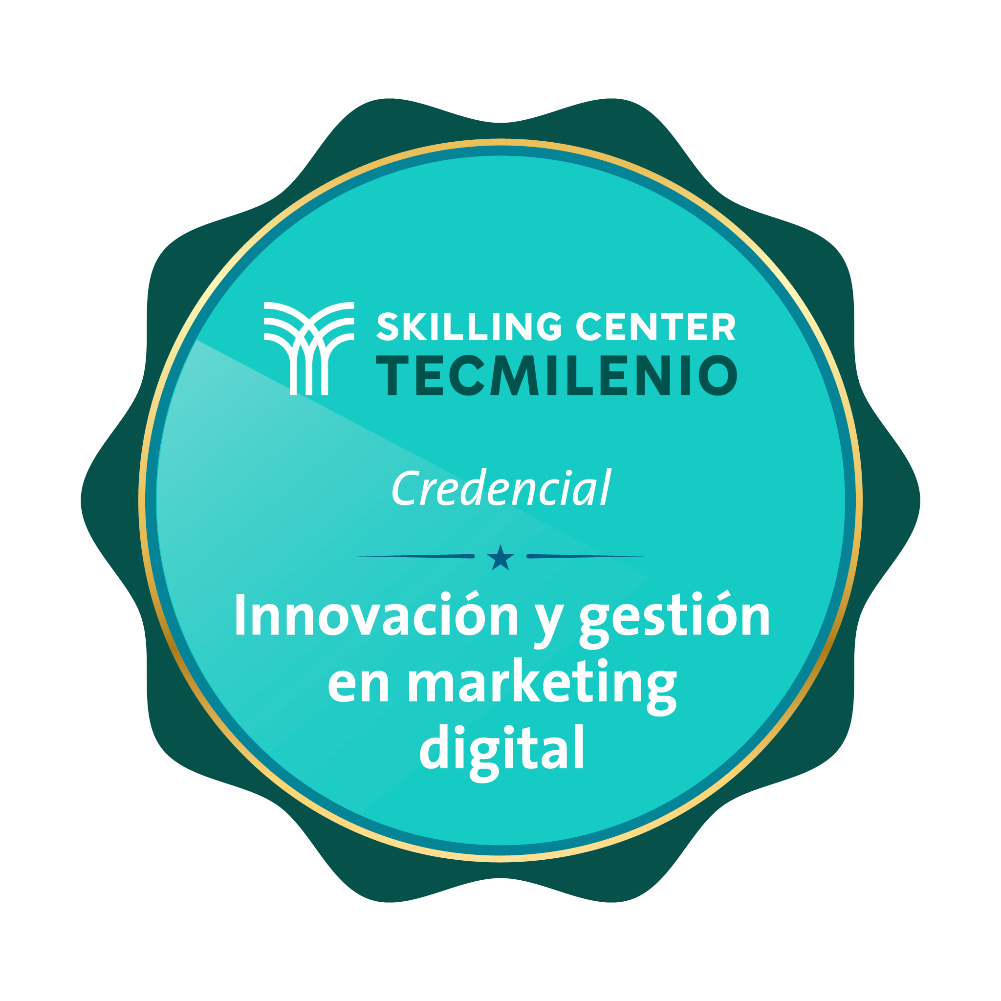 Credencial Innovación y Gestión en Marketing Digital