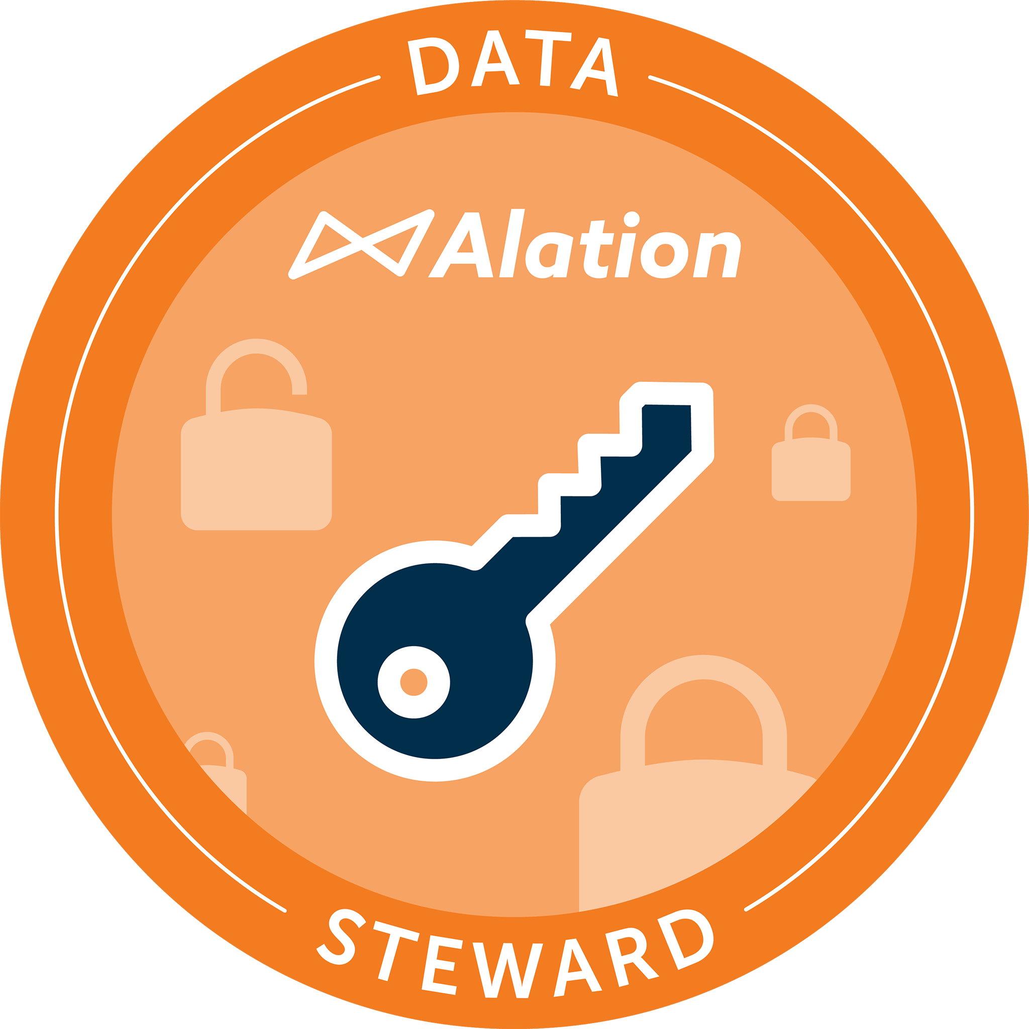 Alation Data Steward