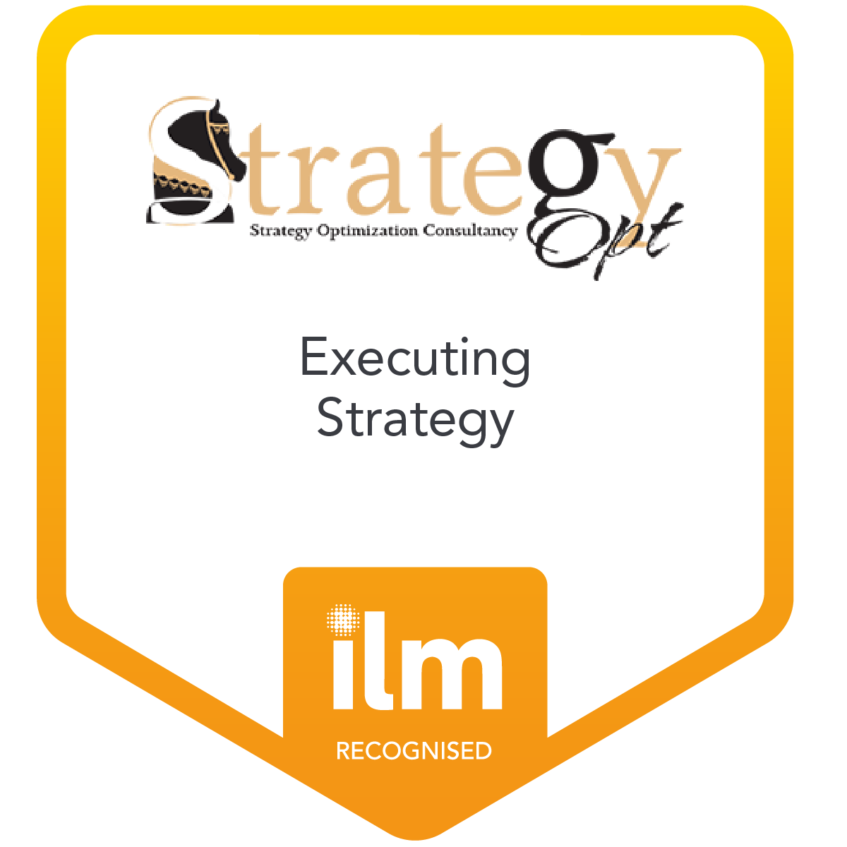 Executing Strategy - Strategy Optimization Consultancy