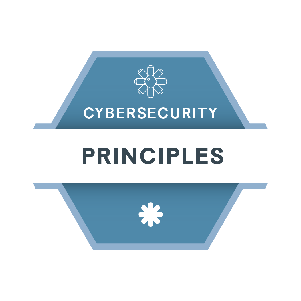 Cybersecurity Principles