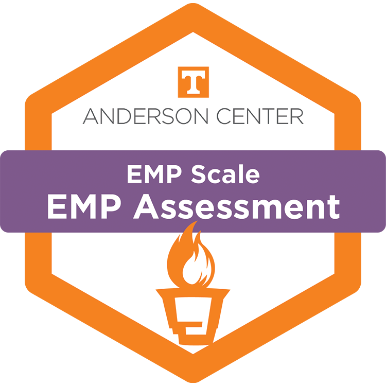 Entrepreneurial Mindset Profile (EMP)