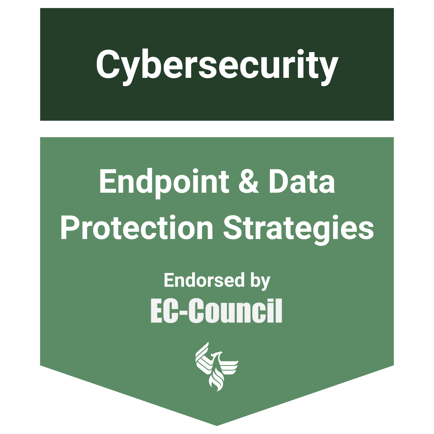 Endpoint & Data Protection Strategies