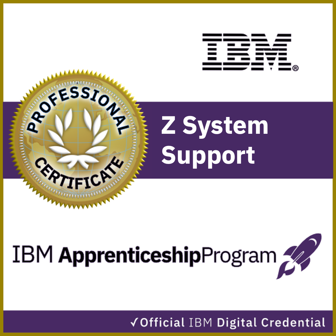 IBM Z Systems Support V2