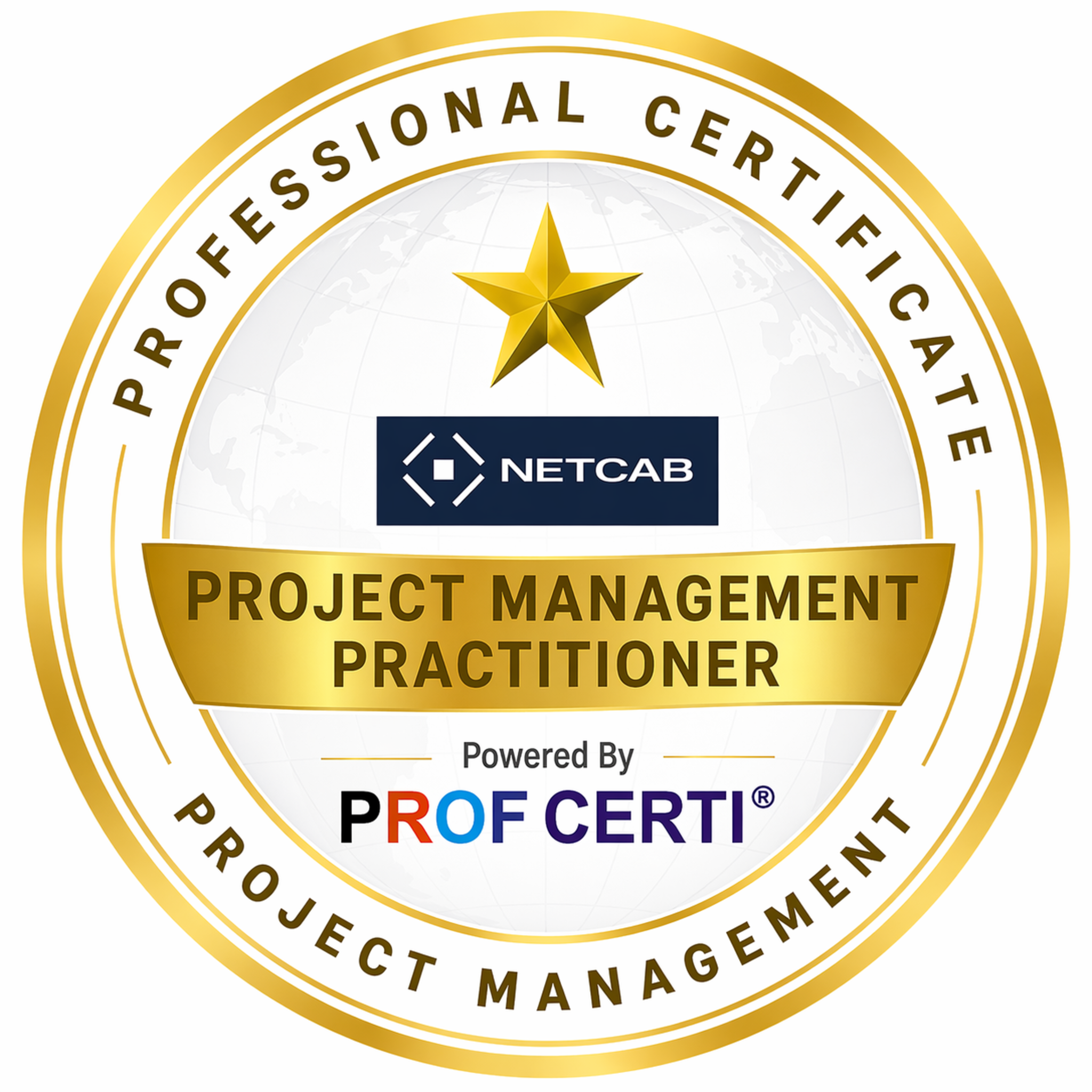 Project Management Practitioner - NetCab