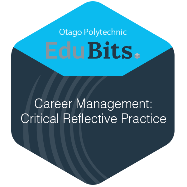 Career Management: Critical Reflective Practice