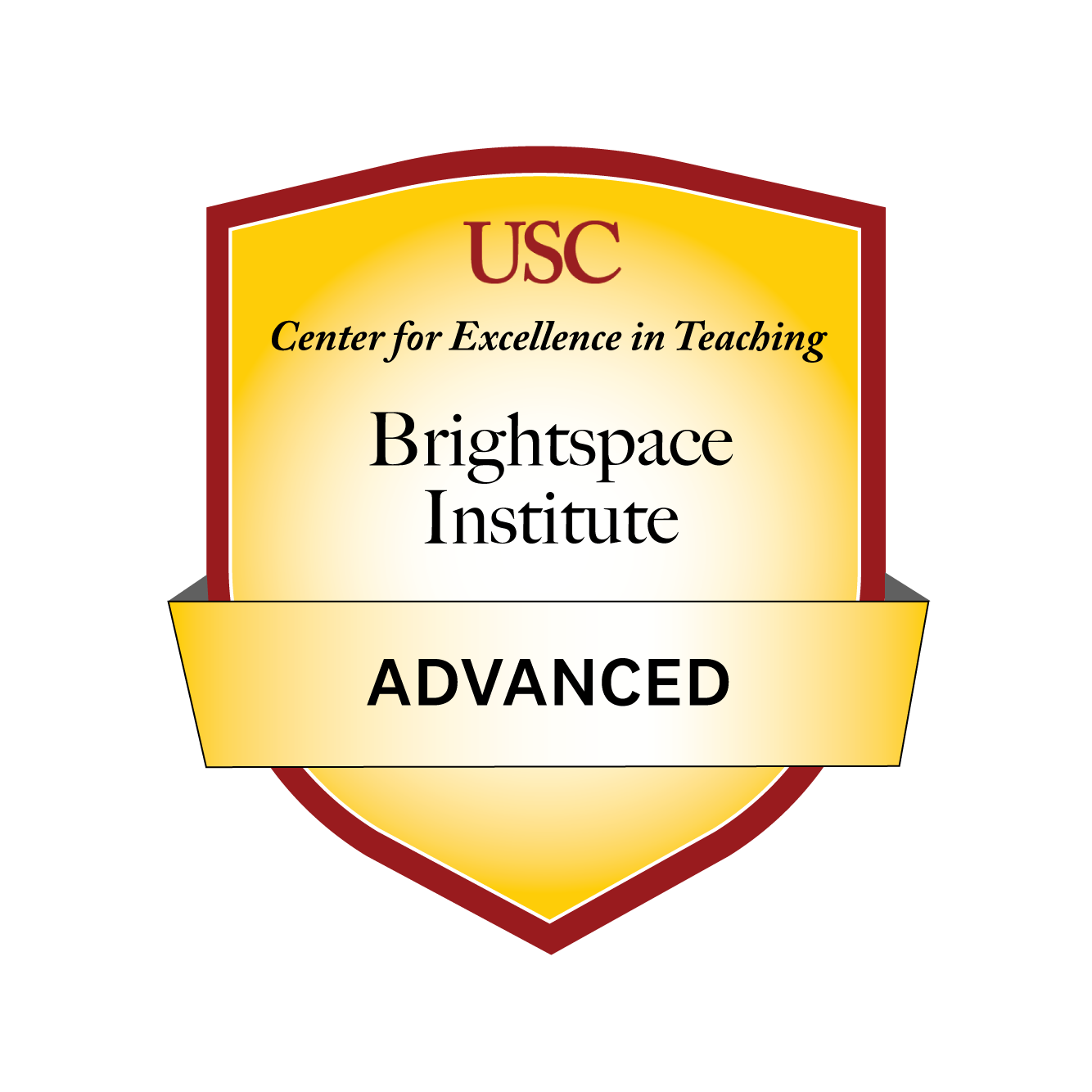 USC Brightspace Faculty Institute: Advanced