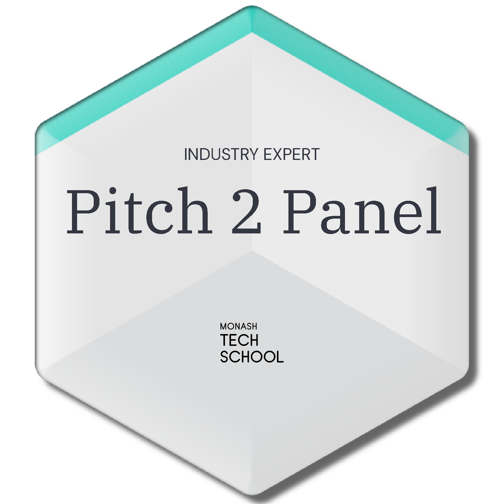 Pitch 2 Panel - Industry Expert