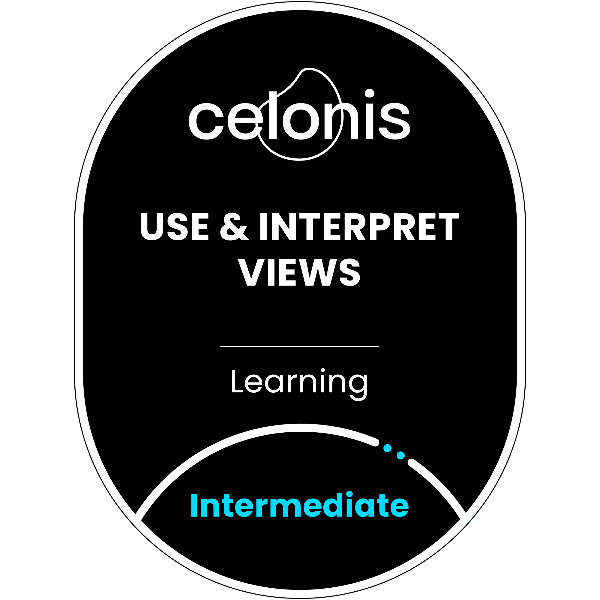 Use and Interpret Views