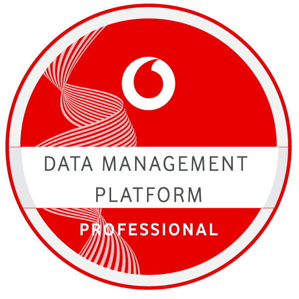 Data Management Platform Professional