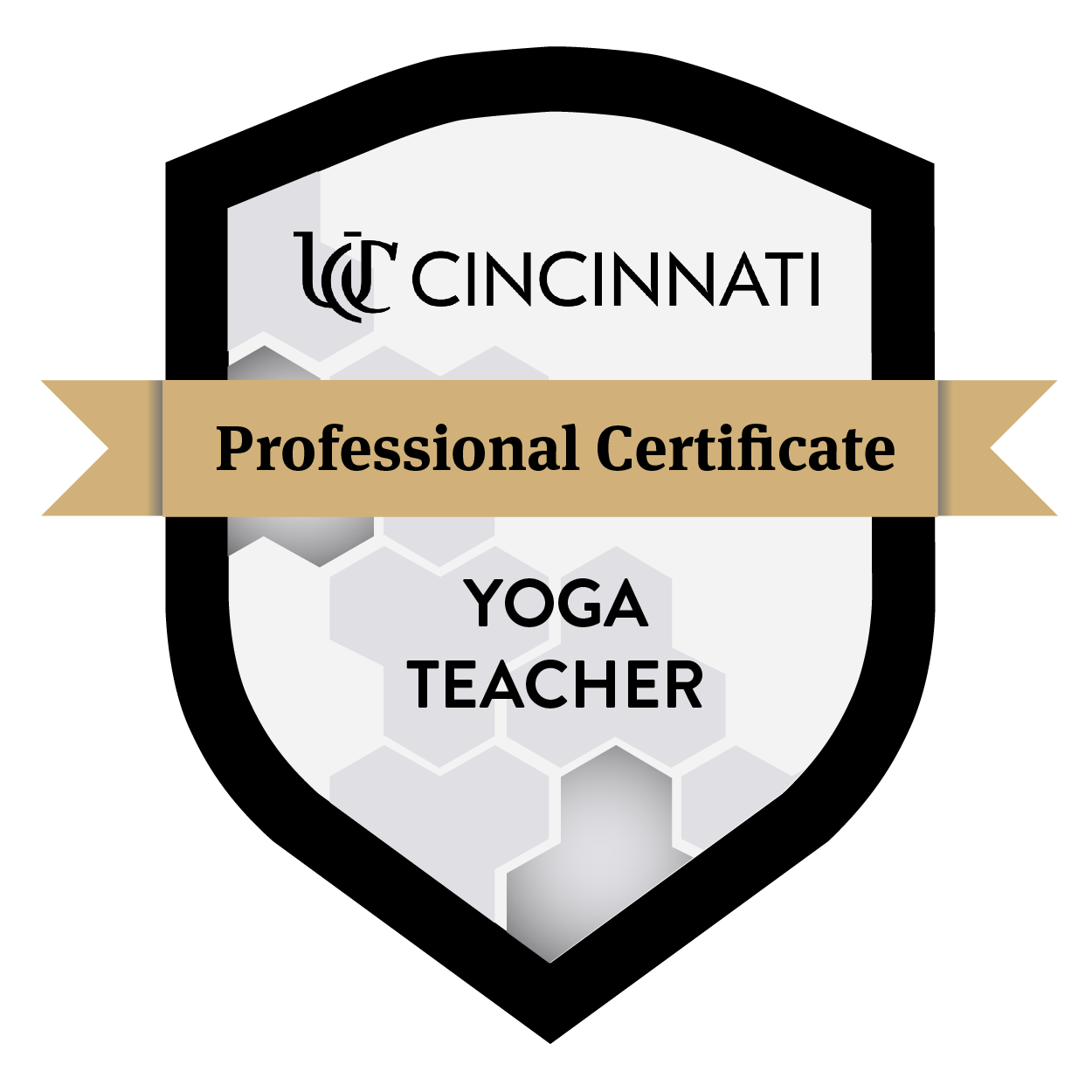 Yoga Teacher
