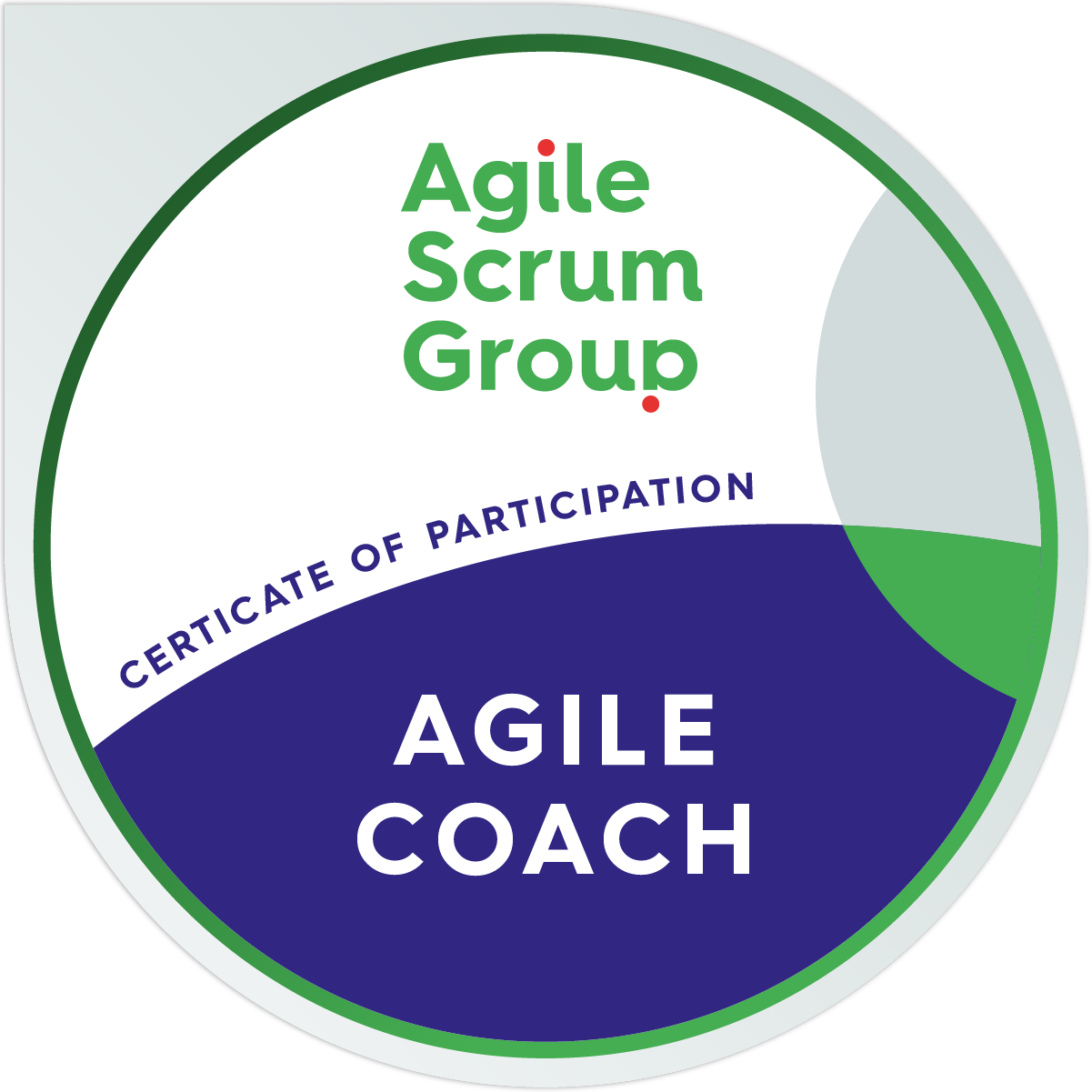 Agile Coach