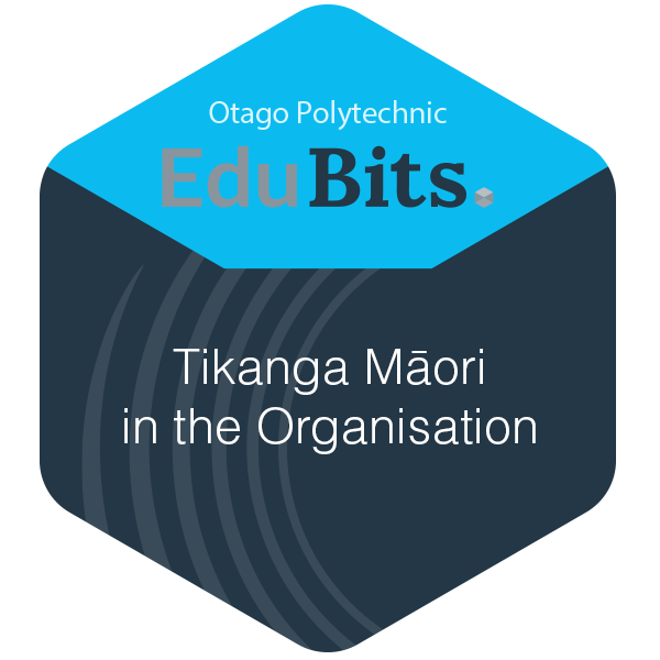 Tikanga Māori in the Organisation