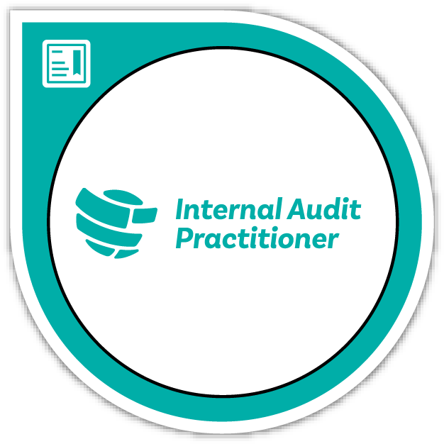 Internal Audit Practitioner