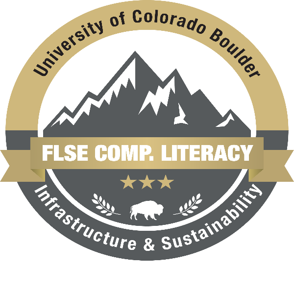 FLSE Computer Literacy