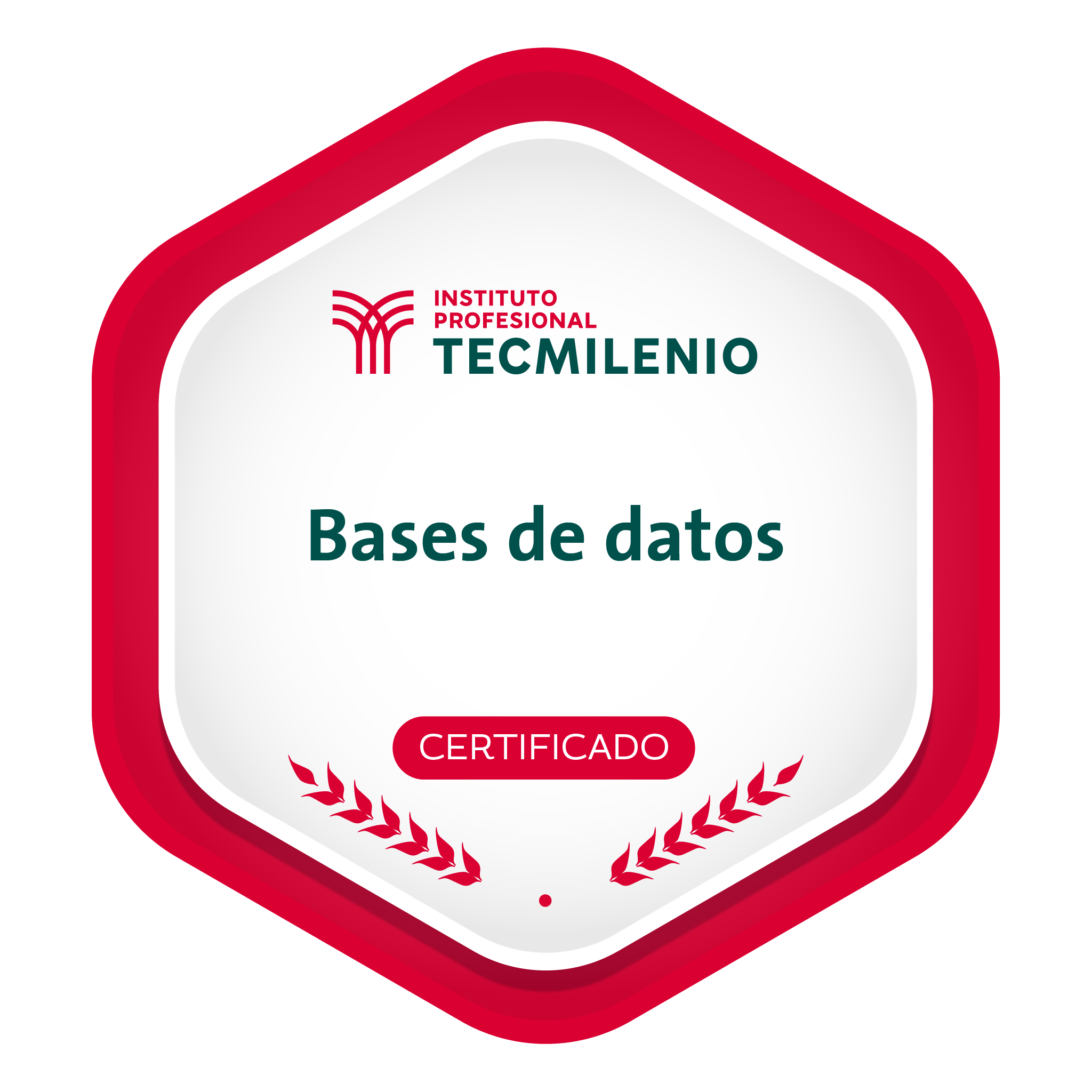 Bases de Datos