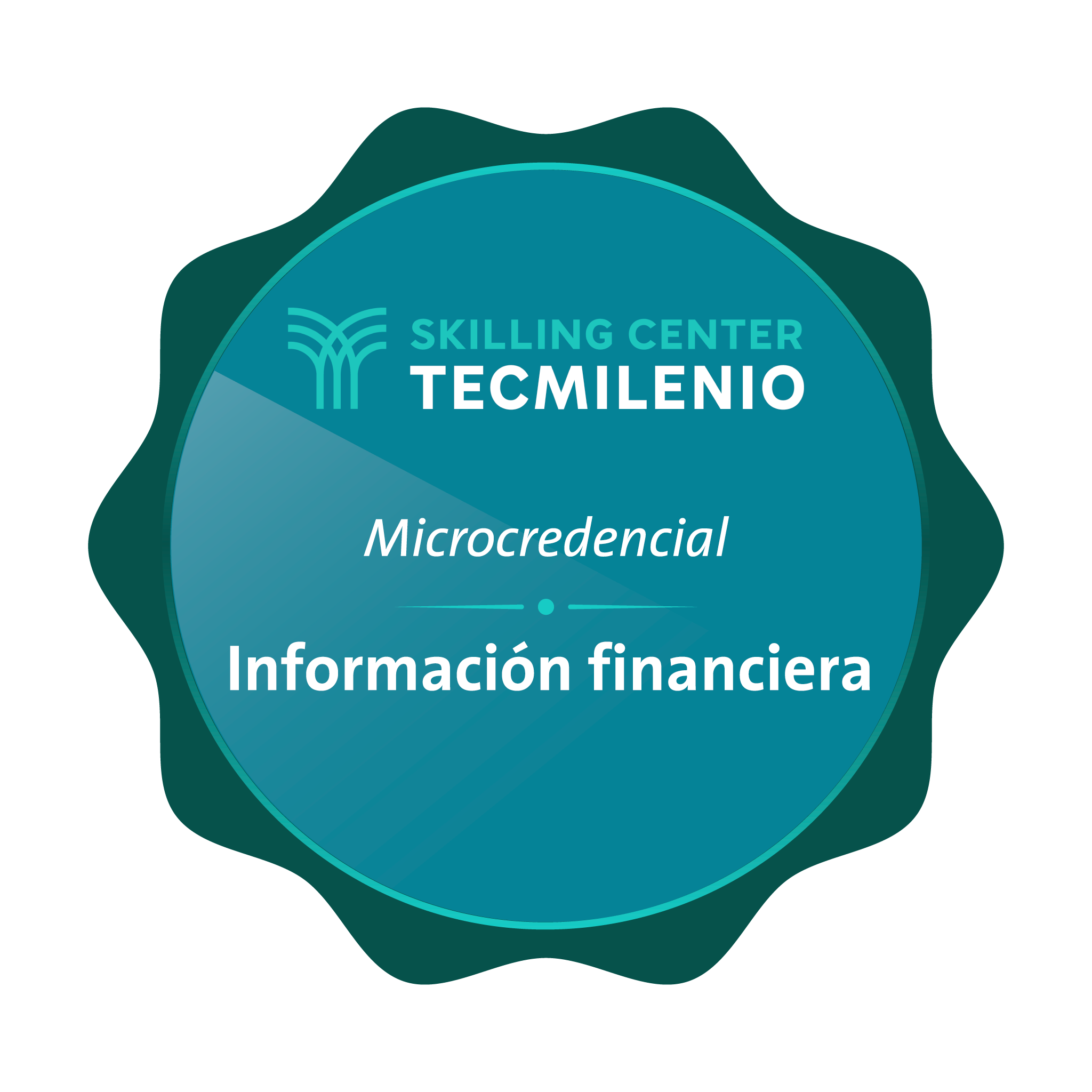 Microcredencial Información financiera