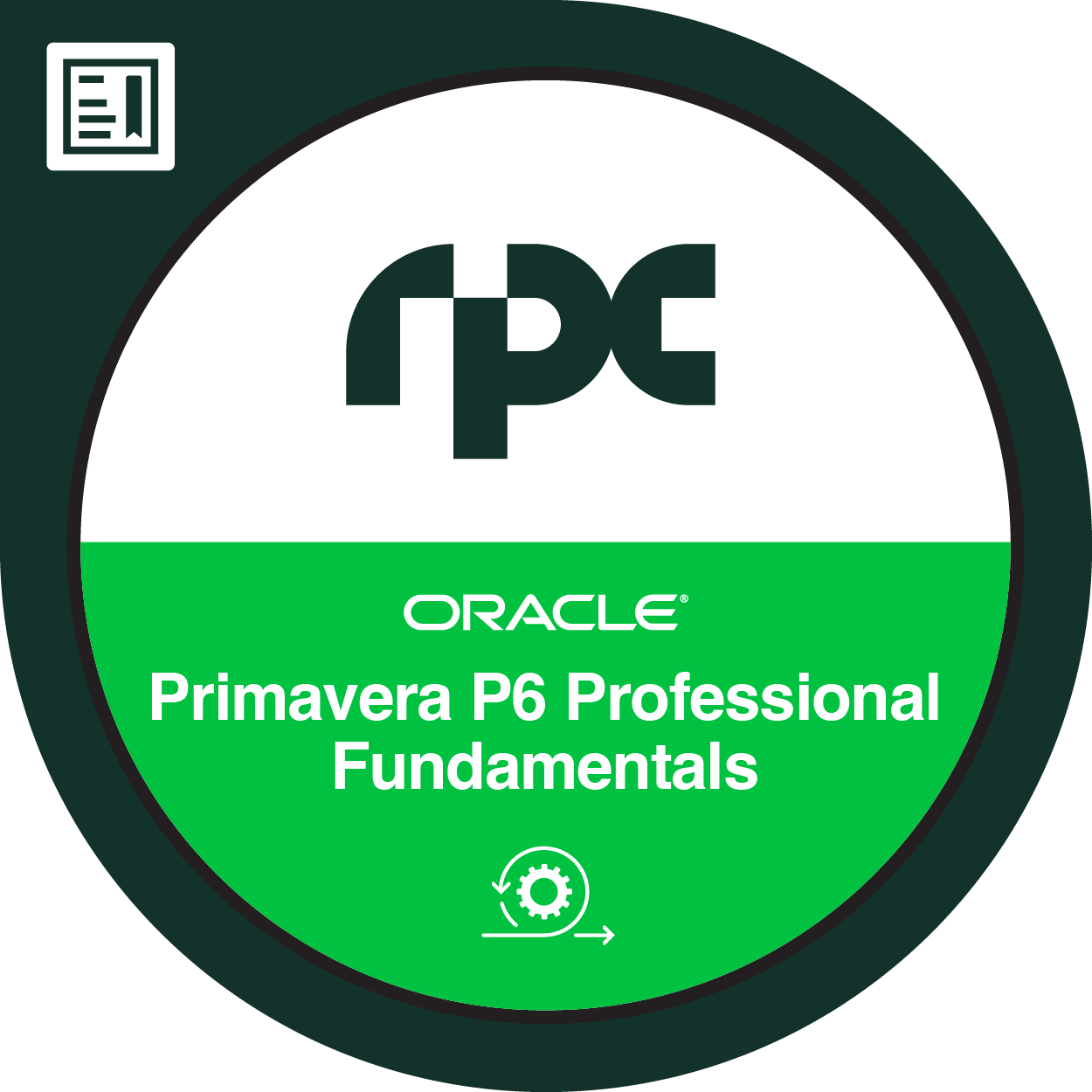 Primavera P6 Professional Fundamentals (Client server)