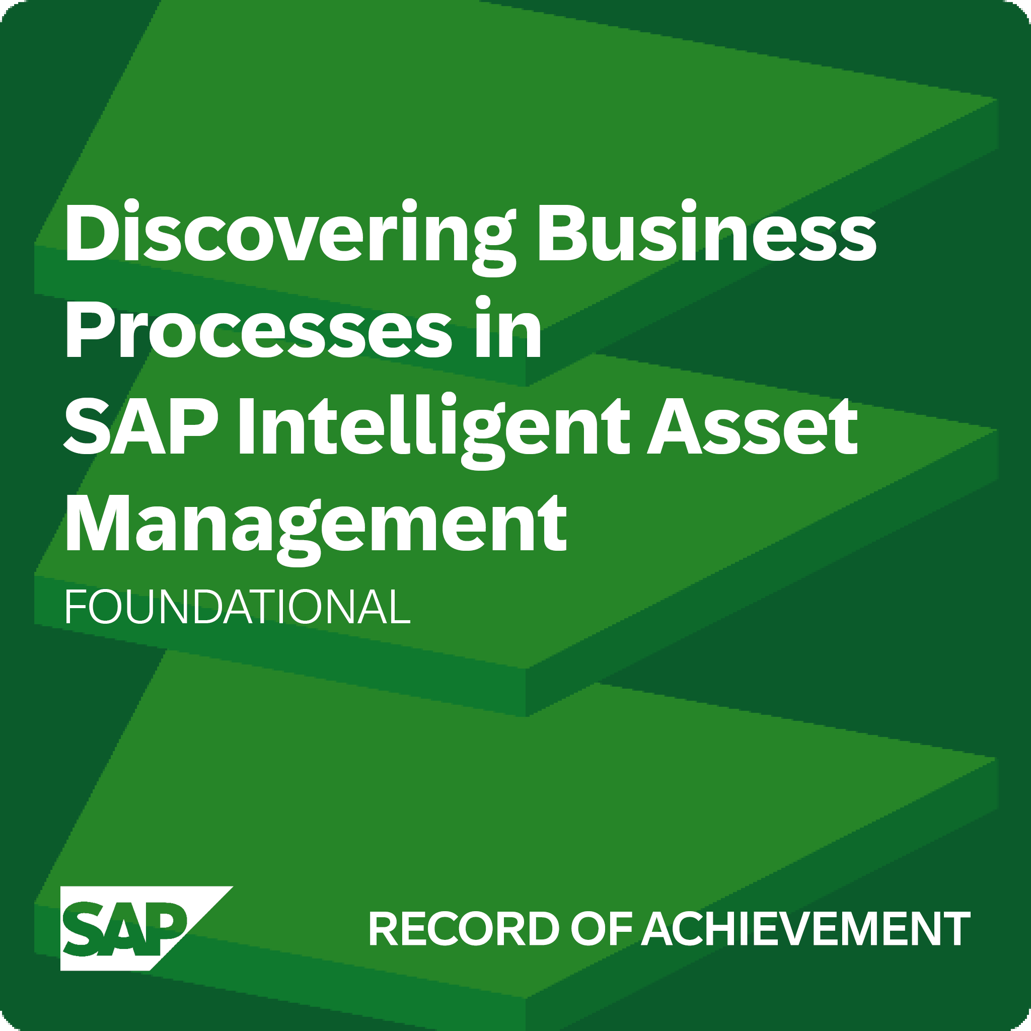 Discovering Business Processes in SAP Intelligent Asset Management - Record of Achievement