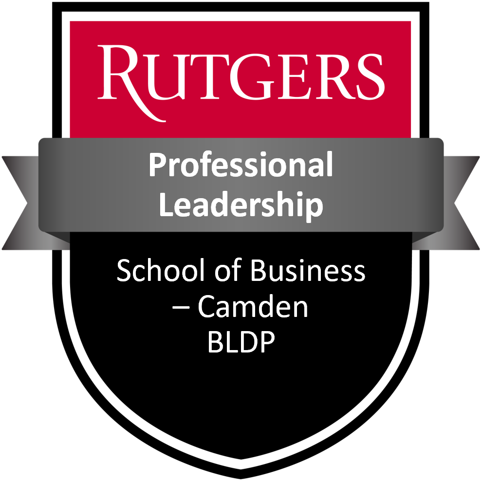 BLDP - Professional Leadership