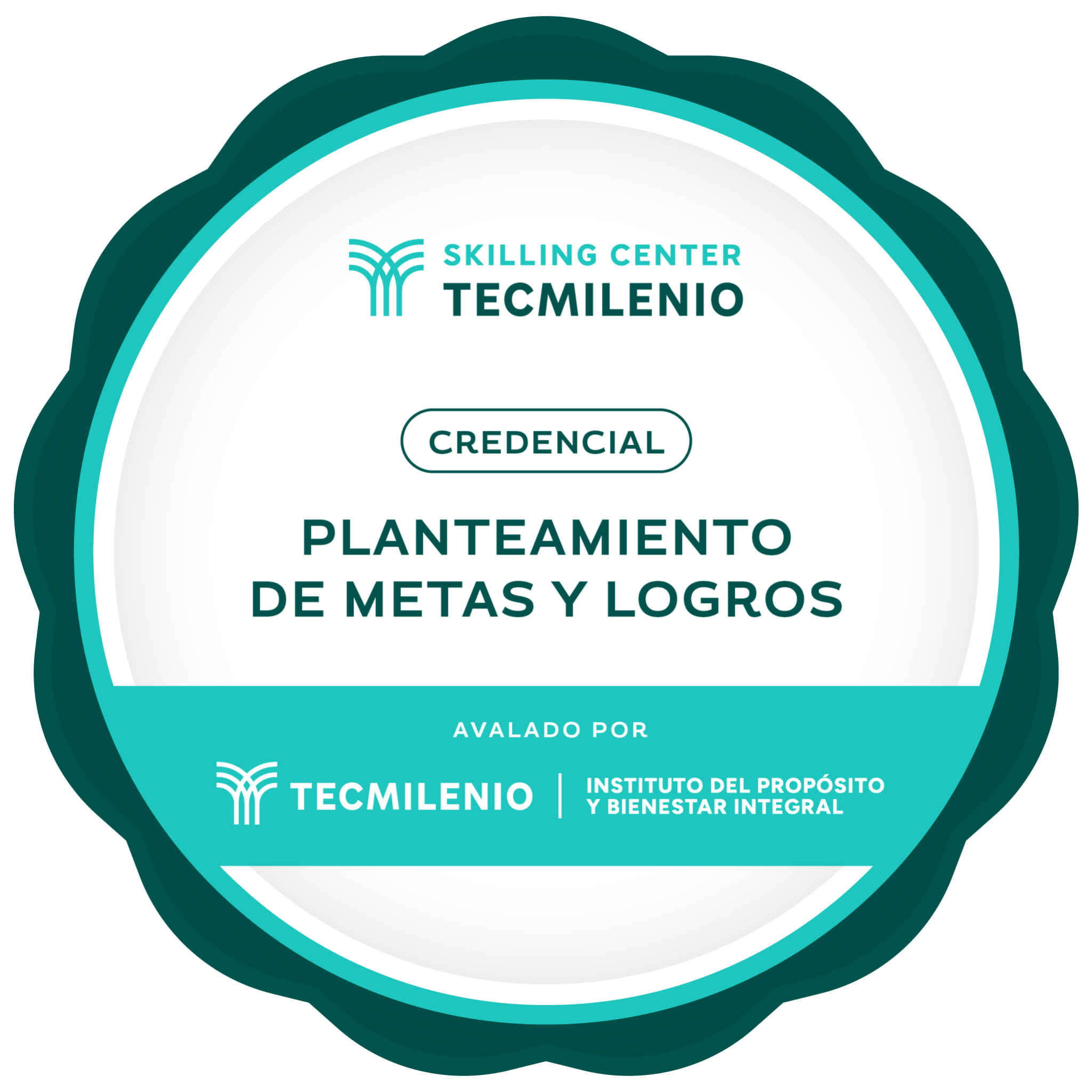 Credencial Planteamiento de metas y logros