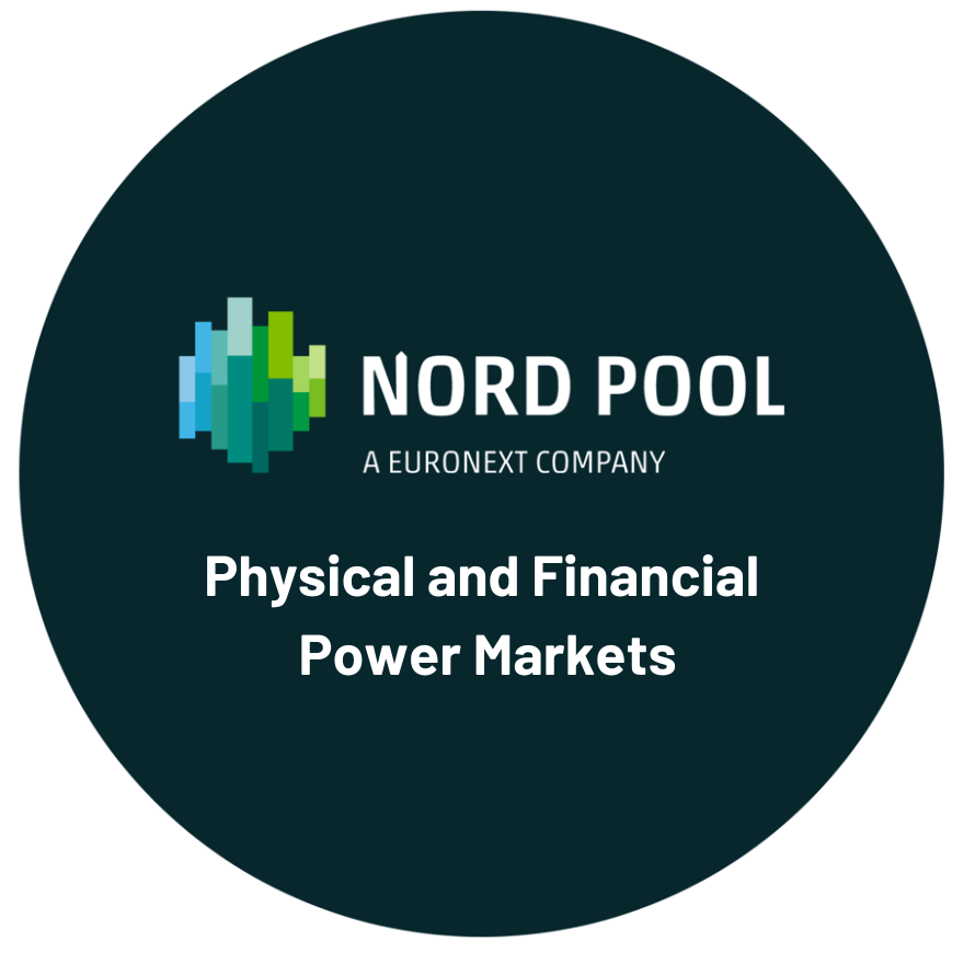 The Physical and Financial Power Markets