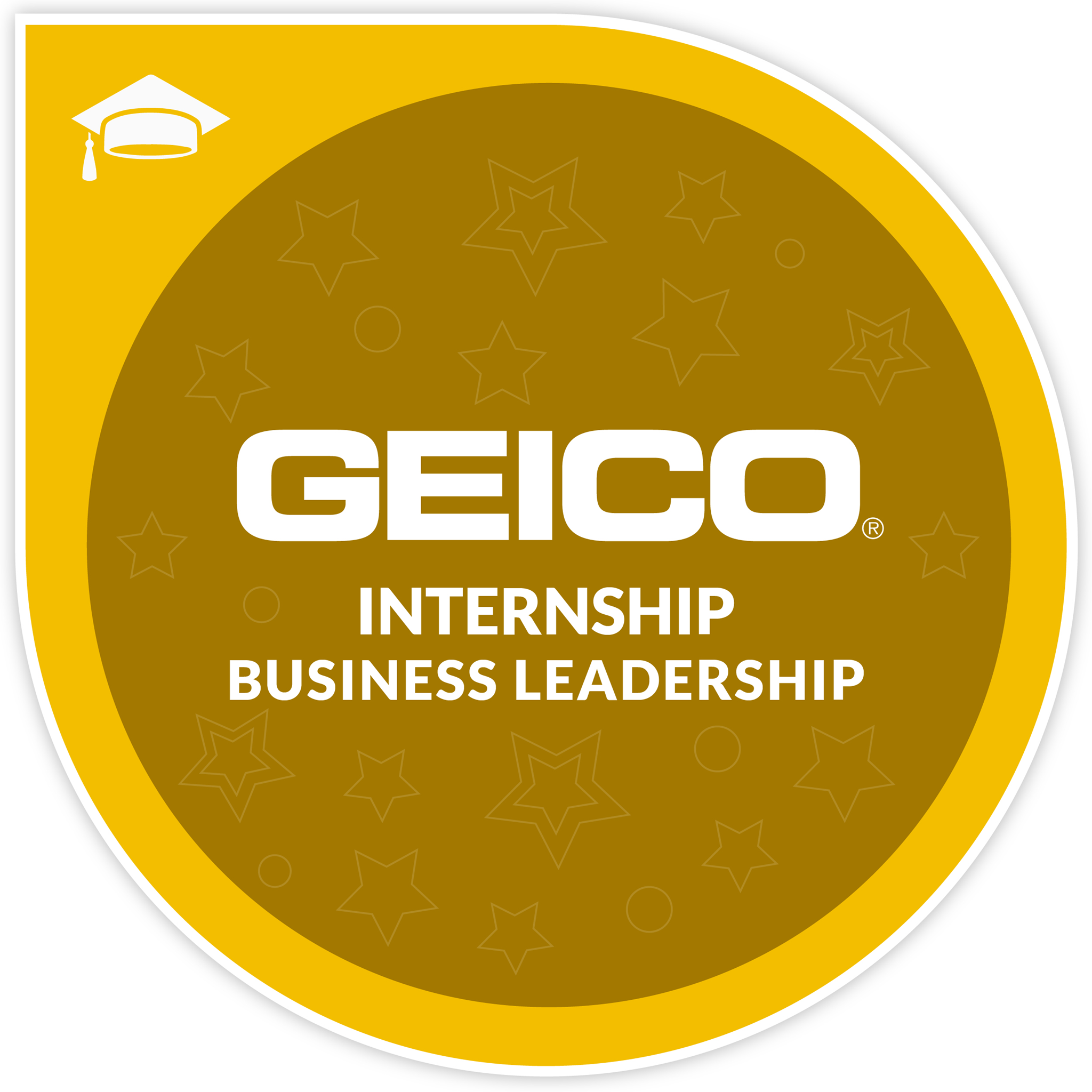 GEICO Internship: Business Leadership