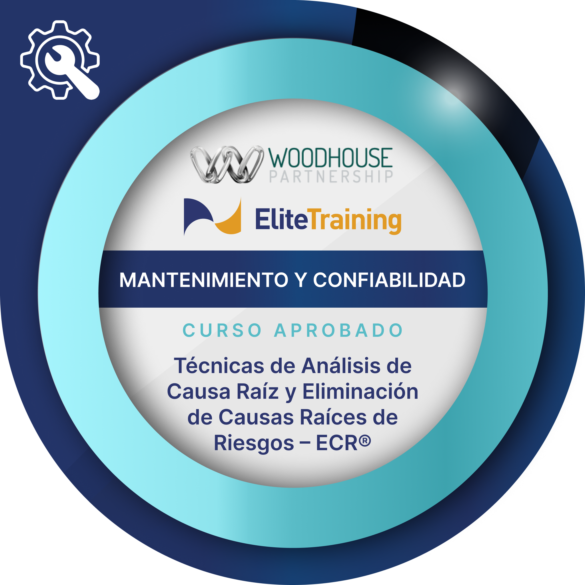 Técnicas de Análisis de Causa Raíz y Eliminación de Causas Raíces de Riesgos – ECR®.