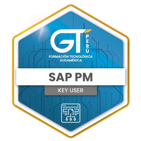 Gestión del Mantenimiento soportado por SAP PM