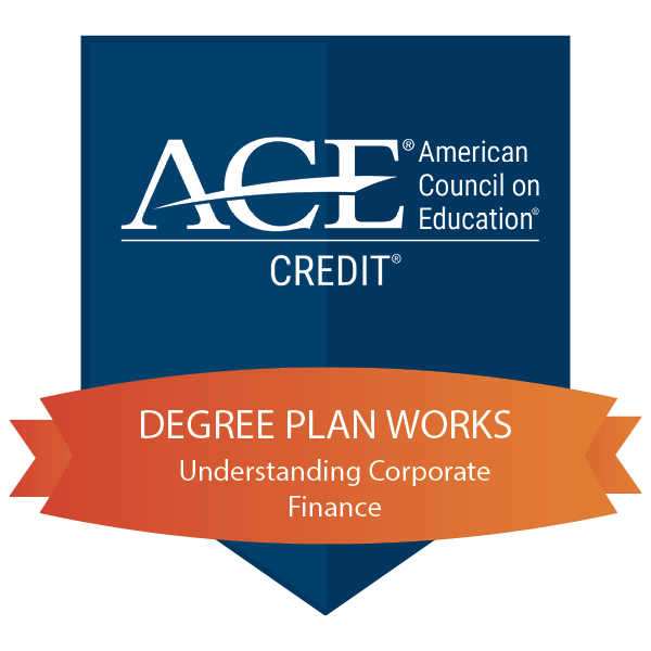 Understanding Corporate Finance (FIN 201)