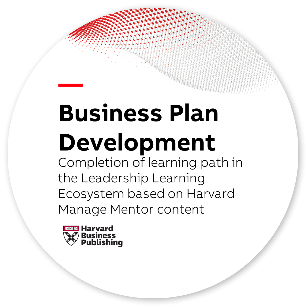 HMM - Business Plan Development