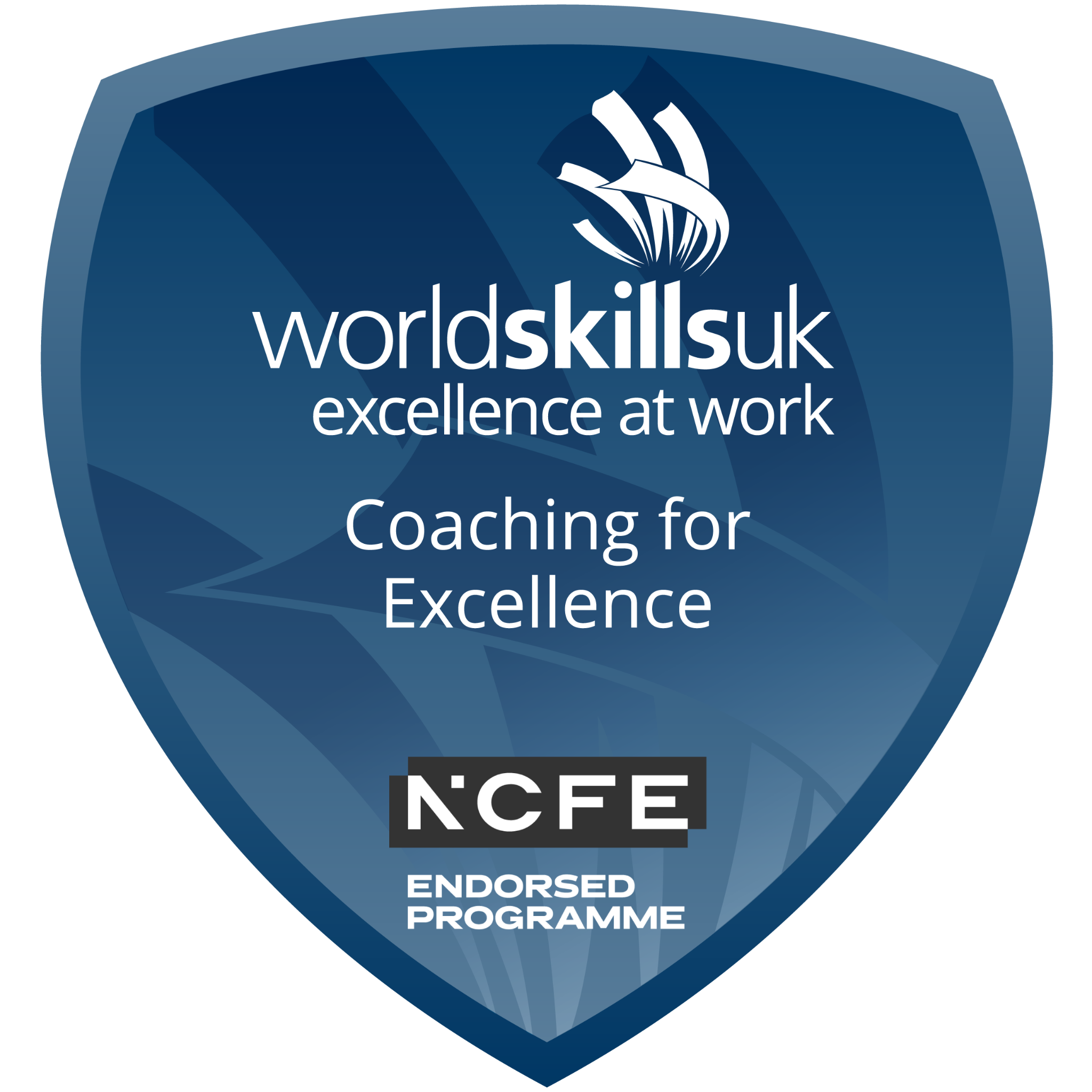 Coaching for Excellence