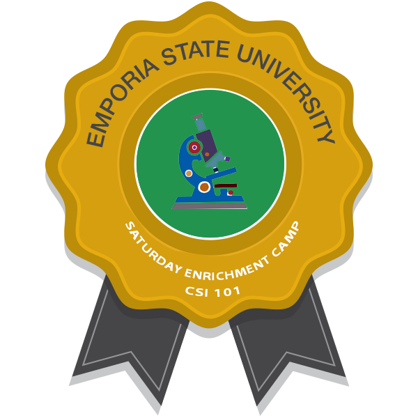 CSI101 Saturday Enrichment Camp